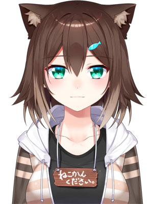 文野環のサムネイル画像